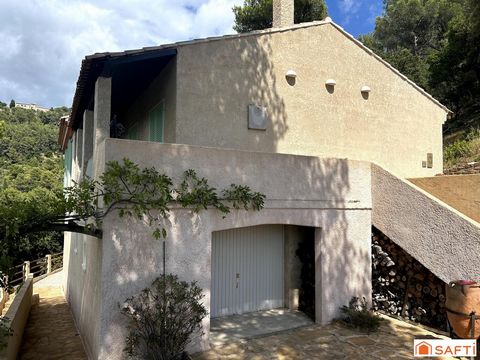 photo no. 2