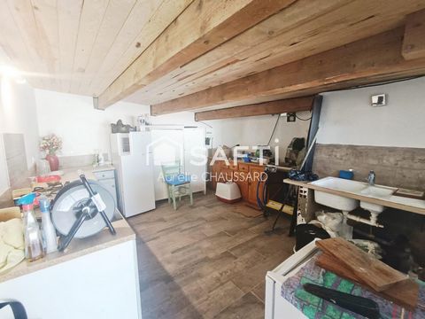 photo no. 12