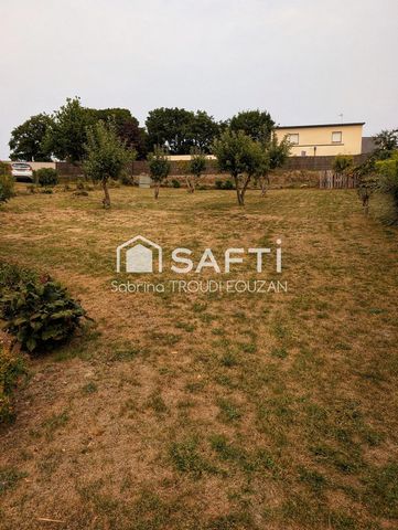 photo no. 14