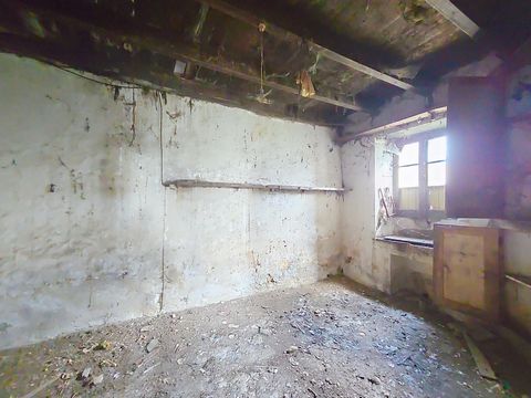 photo no. 5