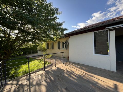 photo no. 10