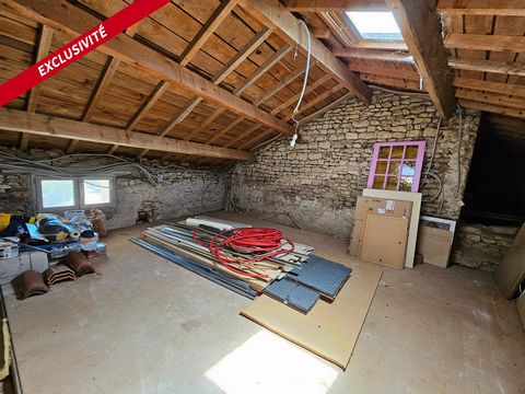 photo no. 10