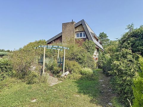 photo no. 3