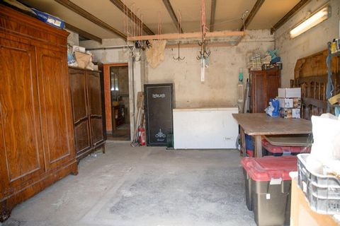 photo no. 13
