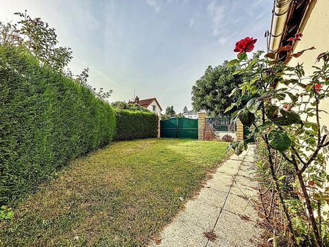 photo no. 19
