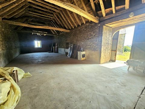 photo no. 12