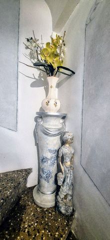 photo no. 8