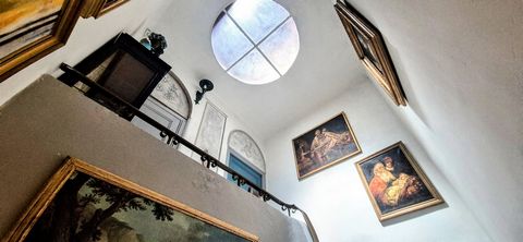photo no. 16