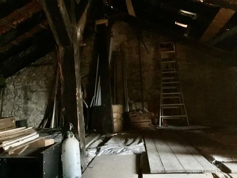 photo no. 15