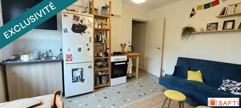photo no. 16
