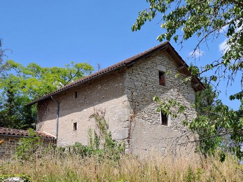 photo no. 15