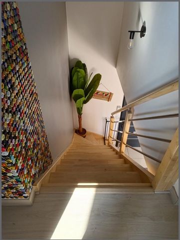 photo no. 8