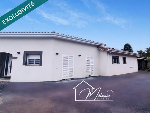 photo no. 10
