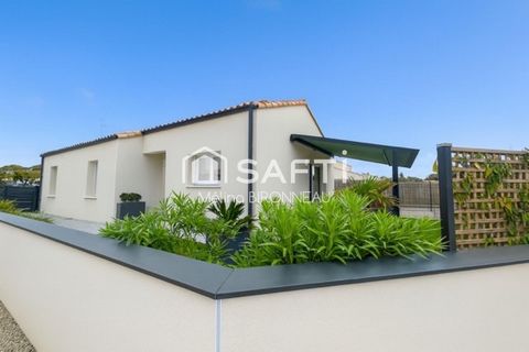 photo no. 2