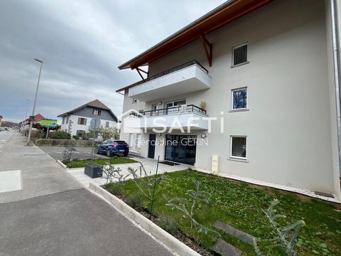 photo no. 8
