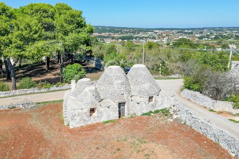 Scopri il fascino di un autentico trullo con 5 coni, per un totale di 122 mq catastali, immerso nella suggestiva Valle d'Itria. Questa proprietà unica si estende su un terreno panoramico di 7680 mq e si trova a circa 8 km da Martina Franca, con facil...