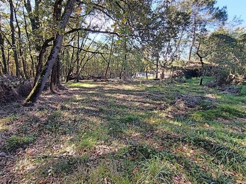 GRAND TERRAIN DE 2300 m2 - BOULOC