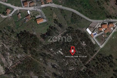 Property ID: ZMPT541481 Rustic land of 9,124 m2 in Barreiras - Mount Cordoba This land is located in the parish of Monte Córdova in the redundo area, in the Place of Barriers. It is classified in the current MIP as: - Main Forest Space - According to...