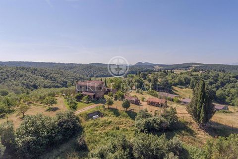 In the Tuscan countryside, near Asciano, Farm with farmhouse, located in a panoramic position, from which you have a splendid view over the surrounding countryside. The property is located just 5 km from Asciano and Sinalunga, twenty minutes from Mon...