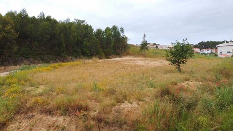 Located in Coto. Rustic land with feasibility of building a house and sealing walls, granted by the request for prior information issued by the City Council; The design can be changed; Located on the Silver Coast, close to Caldas da Rainha, Foz do Ar...