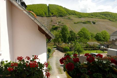 Nestled between the vineyards and the Moselle - this is what distinguishes this pretty holiday home in Trittenheim. Connoisseurs and those seeking relaxation are in exactly the right place here. Trittenheim is an idyllic place where you can unwind, b...