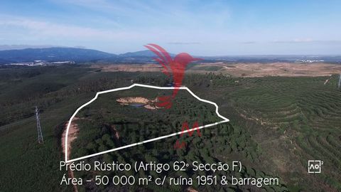 There are 10 hectares of land in full nature in the Baroque Algarve, with 2 ruins for reconstruction. Idea for culture and/or Rural Tourism. Close to the Autodromo Internacionla do Algarve and with good access to the expressways. Good investment for ...