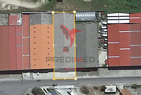 Warehouse of 1000m2 with right foot of 6.5meters. It has only 1 article, is divided inside into 2 parts, with separate entries. Allows you to explore 2 independent business types.   * At this time the property is rented however, you can be free by th...