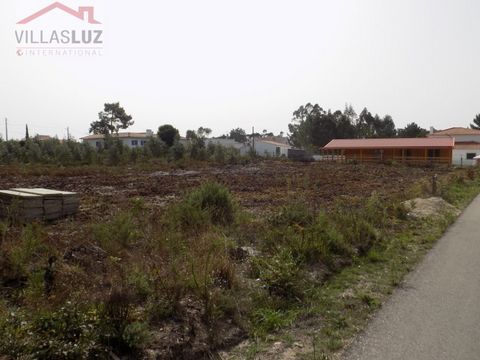 Beautiful plot for construction with 620sqm in a quiet and very sunny area. About 5 minutes from the beautiful bay and beach of São Martinho, this land, completely flat, benefits from having water, electricity and sewage connections next to it, which...