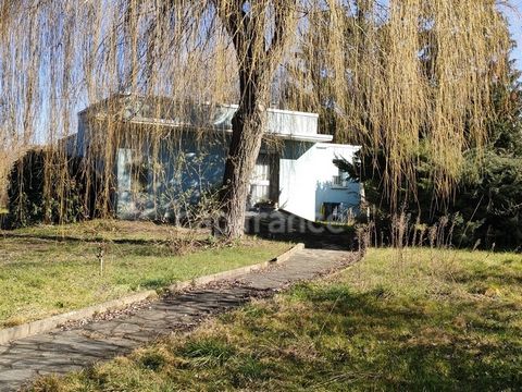 Dpt Loire (42), à vendre SAINT CYR LES VIGNES maison d'architecte de 100 m² - Terrain de 4 780,00 m²