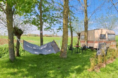 ﻿Dit kindvriendelijke vakantiehuis met wellness in het Belgische Haringe is voorzien van een open haard en ideaal voor een ontspannen tijd met de familie. Het moderne verblijf beschikt over een fijne tuin en dankzij 4 slaapkamers kun je hier uitsteke...