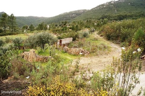 Very good land on terraces with about 11000m2, with lots of water, three wells, distributed through the land through various connections. It has a small housing that can be arranged and also has a pine forest with about 2300m2 well situated. Excluded...