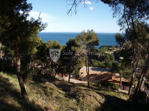 Prestigious plot in the most exclusive urbanization of the area in Cala Sant Francesc which allows you to enjoy a high quality of life for its residents throughout the year With 24hour surveillance service communal area with tennis courts and meeting...