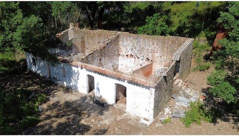 Eigendom van 42.940m². (4,2ha) met goede toegangen in Serra da Picota - Corte Grande gebied, in Monchique. Het pand heeft een huis, dat bedoeld was voor bewoning met 105 m². van het implantatiegebied. De blootstelling aan de zon is geweldig en er zij...