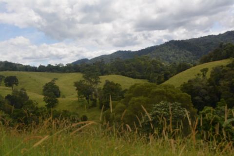 This 51.23 ha property is mainly consisting of rainforest trees with a clearing of about 20 acres. A small creek flows through the property, guarantying a constant water supply. With rainforest on almost 3 boundaries and a very quiet gravel road endi...