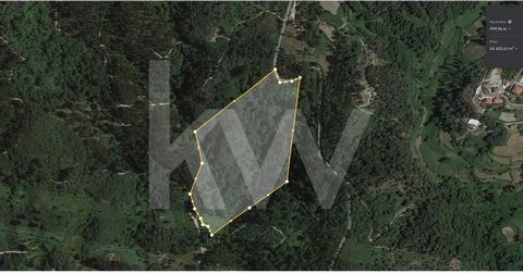 Land with a total area of 54,490 m2, located in Gosende, Baião. It is a forest land, where we have a water mine and with the passage of 2 streams . It has the potential to be used for agricultural or forestry cultivation and is about 500 meters from ...