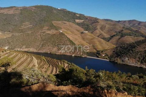 Property ID: ZMPT550086 Farm with 5,500.00m2, located between Régua and Pinhão, near the mouth of the River Tedo, and the village of Folgosa, which has a docking point to the Douro River and hotel developments. Privileged location near the hotel deve...