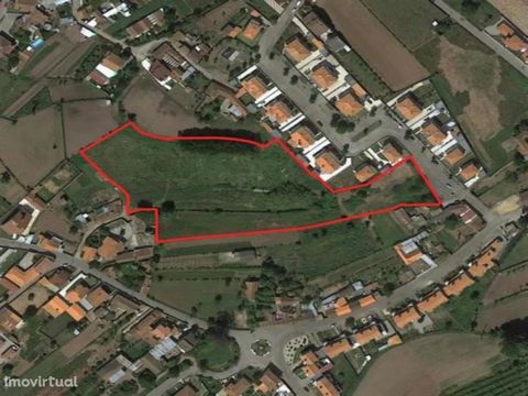 It is a land with an area of 13,810 m2 in Cabeço do Ameal, parish of Alquerubim, Albergaria-a-Velha. According to the MDP of Albergaria-a-Velha in force the land is classified as urban soil - residential space. Article 74 of the MDP Regulation of Alb...