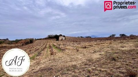 For sale, agricultural land of more than 7 hectares, composed of several plots. Half of the area is occupied by vines (Muscat, Grenache) and half by wasteland. An old wine cellar (currently closed) of approx. 60 m² registered and declared to the town...