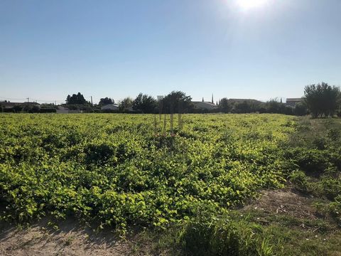 Building plot from 166 m2 to 666 m2 sold serviced, ready to build. Free builder. Price: from €69,900 to €149,900, DPE: Non-subject.