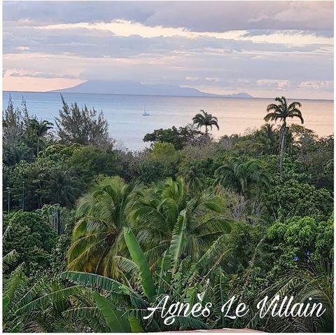 Agnès LE VILLAIN vous présente un très grand terrain de plus de 6 000 m2. A 300 m de la plage, venez découvrir cette splendide parcelle fleurie agrémentée d'arbres fruitiers et de beaux de palmiers. Sa magnifique vue sur la Mer des Caraïbes et ses co...