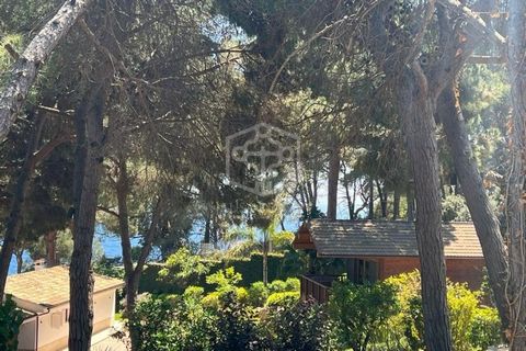 Land plot for sale located in a prestigious quiet environment in Lloret de Mar in Costa Brava. Surrounded by nature, luxury villas, and charming coves. Only a 5-minute drive to the city center full of stores, bars and restaurants. There are 2 plots o...