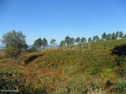 Rustic land with 5.400m2; Excellent sun exposure; Good accesses