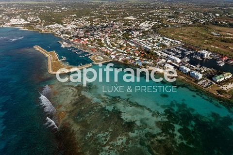 Dpt Guadeloupe (971), à vendre SAINT FRANCOIS, VUE MER, maison avec piscine sur superbe terrain de plus de 1Ha constructible