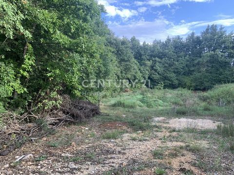 ŽMINJ, GREAT OPPORTUNITY, BUILDING LAND WITH PRIVATE FORESTOnly a few minutes and 2 km from the center of Žminj and 3 km from the highway on the main road is this beautiful property.The estate consists of a building plot of 2256 m2 and a large agricu...