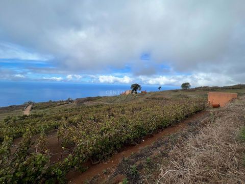 Siamo lieti di presentarvi un eccezionale terreno rustico in vendita a El Sauzal, un gioiello di 1.150 metri quadrati che diventerà la cornice perfetta per la vostra passione per l'agricoltura e la piantagione. Il punto forte di questa proprietà è la...