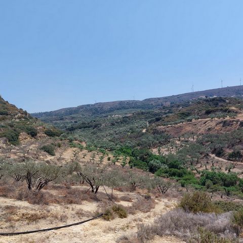 Achladia, Sitia, Oost-Kreta: Groot perceel met olijfbomen op slechts 7 km van de zee. Het perceel is 16.860m2 groot en heeft 300 olijfbomen. Het pand heeft een goede toegang en biedt uitzicht op de bergen.