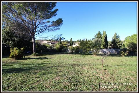 photo no. 2