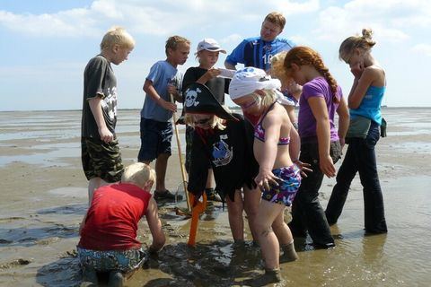 Dit vrijstaande chalet ligt op een vakantiepark dat aan de Waddenzee gelegen is. Deze accommodatie is zeer geschikt om als uitvalsbasis te gebruiken om Noord-Holland te ontdekken. Het chalet is praktisch en comfortabel ingedeeld, met een open keuken ...