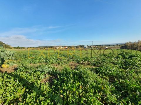 Land for construction, with 1162 m2, building possibility up to 336 m2. Very quiet area, with excellent sun exposure, stunning view. Located less than 10 minutes from the city of Caldas da Rainha, Óbidos Castle 15 minutes, Foz do Arelho beach 5 minut...