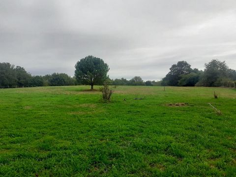 Exklusiv in der Stadt Montlieu La Garde, prächtiges Baugrundstück von 14.288 m2, davon ca. 5.500 m2 nicht bebaubar, geplant für die Unterbringung von mindestens 9 Wohneinheiten. Teilweise für eine Einzelunterkunft erschlossen (Wasserzähler und Strom)...